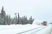 Snowplow pushing snow off a road, pine trees in the background