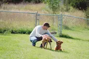 Man with two medium sized dogs in the fenced in Dog Bark area