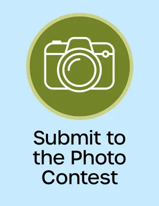 Submit to photo contest button, Camera icon, opens new window