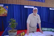 Older man with beard in polo shirt and baseball cap standing over table next to pine tree.