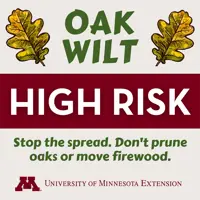 Oak Wilt High Risk Status