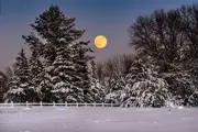 Photo 2023 Second place in landscape category by Michelle Osterhus, Winter Moon