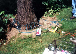 Tree Injection System