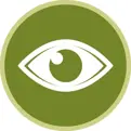 View Live Icon silhouette of an eye on a round background Opens in new window