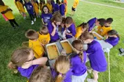 Kids surrounding a table looking at 4 trays with liquid in them