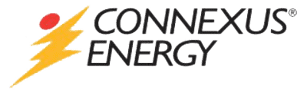 Connexus Logo